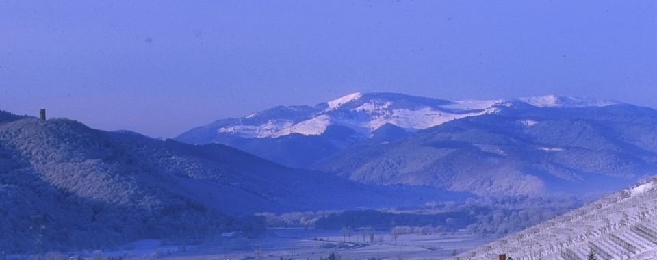 Entre de la Valle de Munster